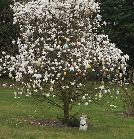 Kaiser Apartmán Lübben